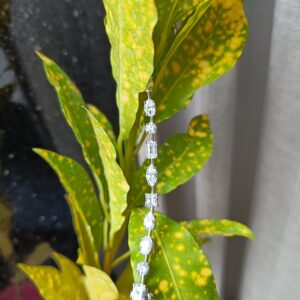 BRAC-01-B