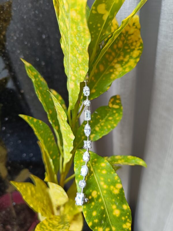 BRAC-01-B