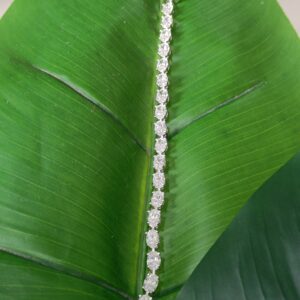 BRAC-04C