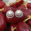 Double Line Cubic Zirconia Earrings