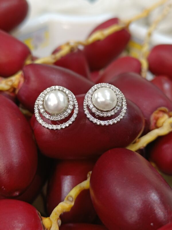 Double Line Cubic Zirconia Earrings